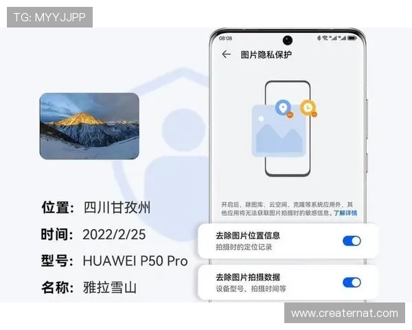 亚星管理登录地址安全登录技巧,保障账户信息安全与隐私保护 亚星管理登录地址安全登录技巧,保障账户信息安全与隐私保护